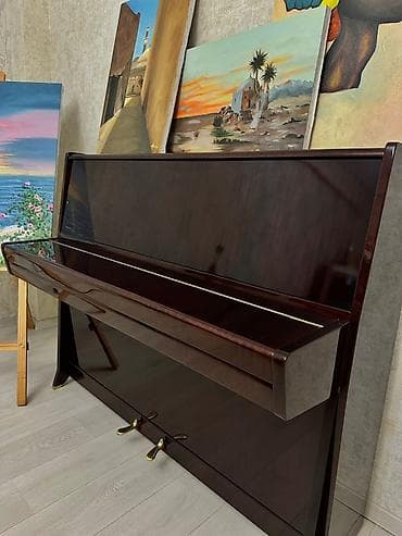 Piano, Petrof, Akustik, İşlənmiş — 4