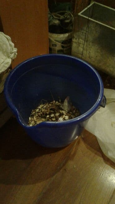 Vedre satilir zibil yigmaq ucun satılır qiymeti 7 azn