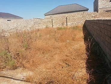 Земельные участки: Для сельского хозяйства, Купчая — 2