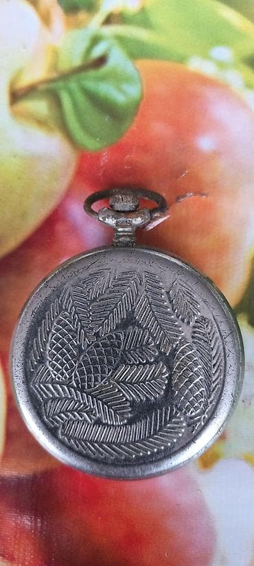 Ovçuluq və balıqçılıq: Məhsul: Mexaniki cib saatı Xüsusiyyətlər: - Korpus: metal, qapaqlı — 2