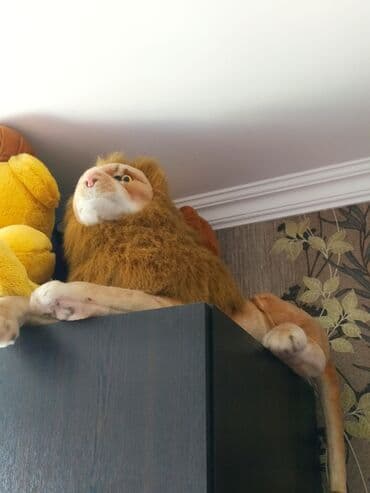 3d печать на футболках: Salam bir ədədi yumuşak kukula 20m di — 4