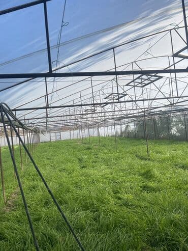 moyka arendaya verilir 2023: İstixana satılır 12 sotdur — 3