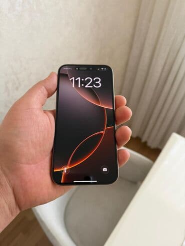 IPhone 16 Pro Max, 256 GB, Qızılı, Zəmanət