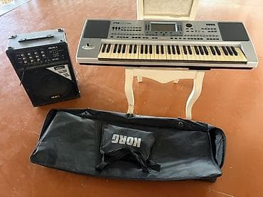 детская палатка с тоннелем: Синтезатор, Korg, Платная доставка — 1