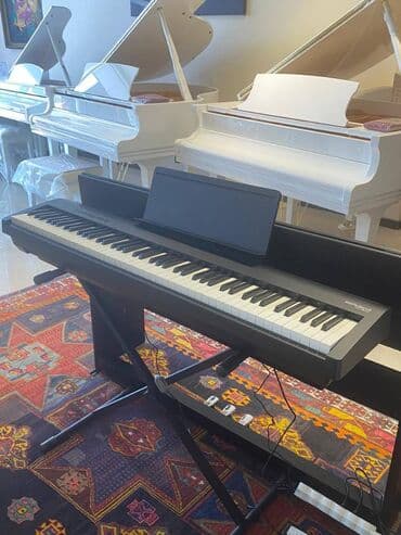 ucuz sintezator: Dünya şöhrətli Roland brendine endirimler davam edir. En populyar — 2