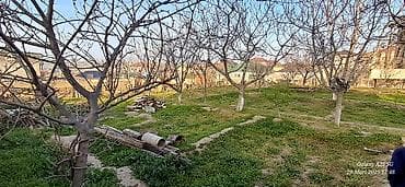 3 sot, Tikinti, Mülkiyyətçi, Kupça (Çıxarış) — 7