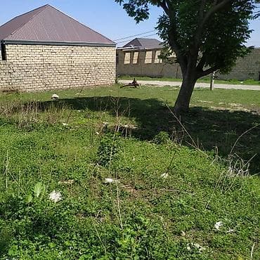 mese torpagi: Tikinti — 1