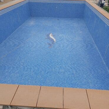 işlənmiş qaplar: Xüsusi hovuz üçün mozaika üzləmə və bitirmə xidməti Təsvir: - Beton — 17