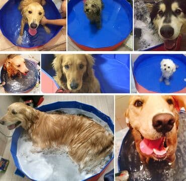 надувной бассейн купить в баку: Новый Надувной Бассейн ≥ 10.1 м, ≤ 200 л — 2