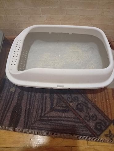 mal bazari: Açıq tipli pişik tualeti (qum qabı) - Material: davamlı plastik - — 1