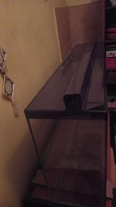 akvarium yumru: Salam istənilən ölçüdə akvarium ən azı 30 litrdən yuxarı münasib — 3