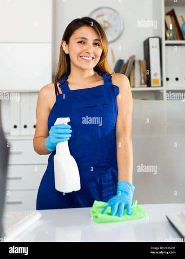 Paltar tikişi: Təmizlik | Mənzillər | Gündəlik təmizlik — 5