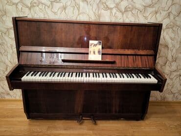 dominos sumqayit: Piano, Rostov-Don, Akustik, İşlənmiş, Ünvandan götürmə — 1