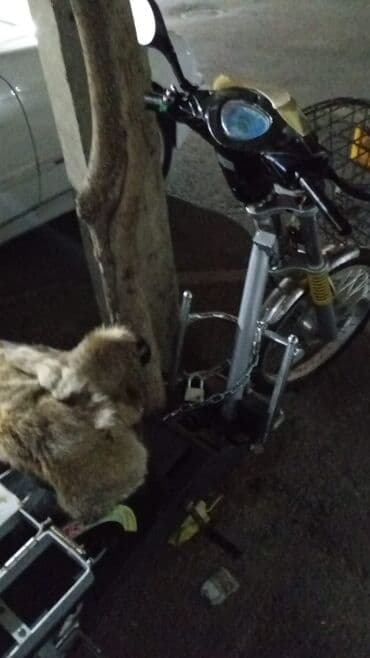 Hyundai: Elektrik velosiped/skuter - Şəhər içi gediş-gəliş və çatdırılma üçün — 3