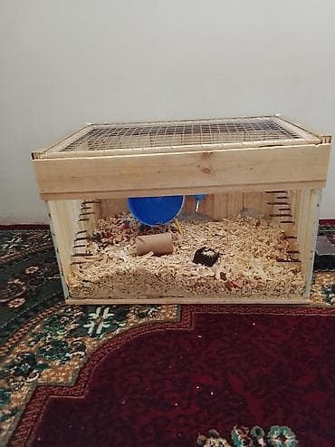 Taxta hamster qəfəsi - Material: qalın taxta karkas, üst hissə metal
