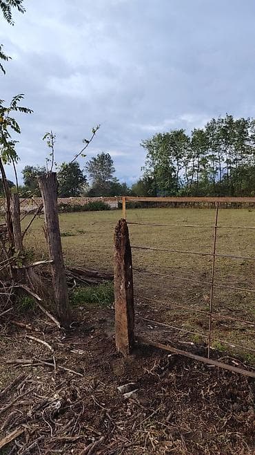 setka qapi: Satılır: kənd təsərrüfatı və həyətyanı sahələr üçün bir tərəfi daş — 1