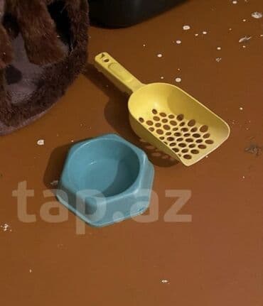 купить домик для кота: Paket şəklində pişik üçün tam aksesuar dəsti. Dəstərin tərkibi: - — 4