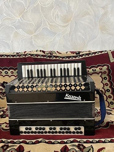 akkardion: Akustik Akkordeon — 3