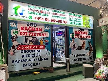 Reklam, çap: Şüşə səthlər üçün qumvari (frost) plyonka və vitraj qrafika xidməti - — 4