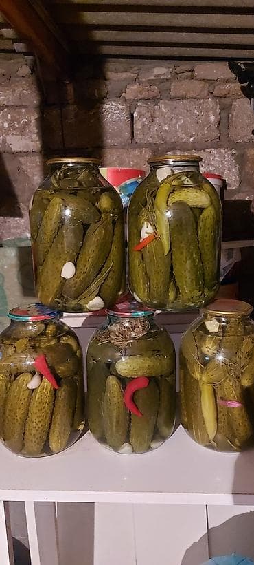 Turşular hamısı ev bağlamasıdır balonlar tam doludur dadına söz ola