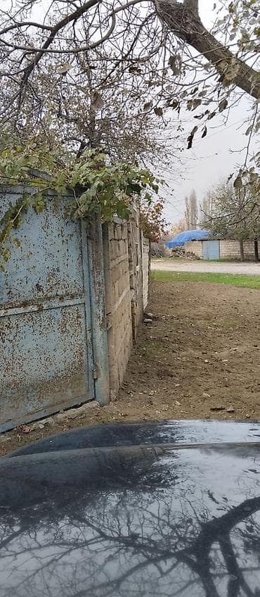 ipoteka ile satilan evler: 36 sot, Kənd təsərrüfatı, Mülkiyyətçi, Kupça (Çıxarış) — 6