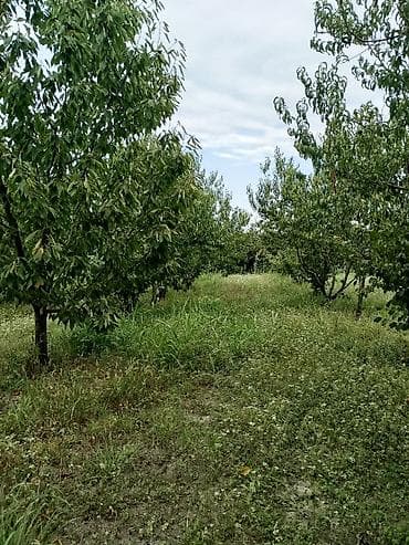 1 комната квартира снять: Для сельского хозяйства — 2