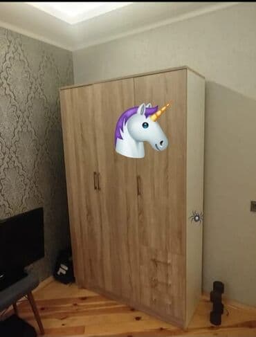 işlənmiş dolab: Dolab-asılqan — 1