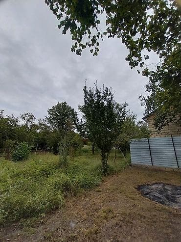 zaqatalada satilan torpaqlar 2025: 6 sot, Tikinti, Kupça (Çıxarış) — 3