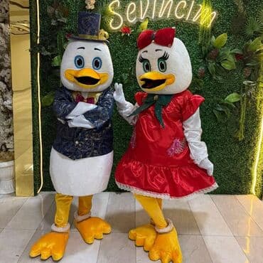 Другие товары для дома: Uşaq tədbirləri üçün maskot obrazları – ördək cütlüyü - Komplekt: 2 — 1