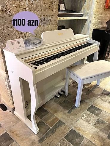 qəpik pullar: Çox sevilən Euphonia elektron pianoları! Çəkiç mexanizmini imitasiya — 1