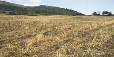 xırdalan kup: 150 sot, Mülkiyyətçi, Kupça (Çıxarış) — 7