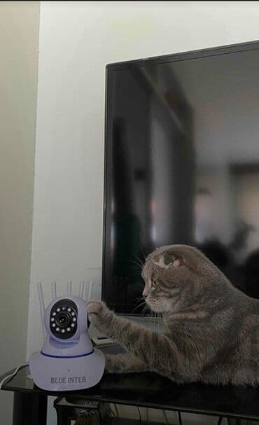 бу морозильная камера купить: Təhlükəsizlik sistemləri | Müşahidə kameraları | Quraşdırılma, Zəmanət — 9