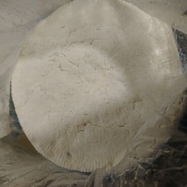 Süd məhsulları və yumurtalar: Temiz rayona gelme pendrdi — 2