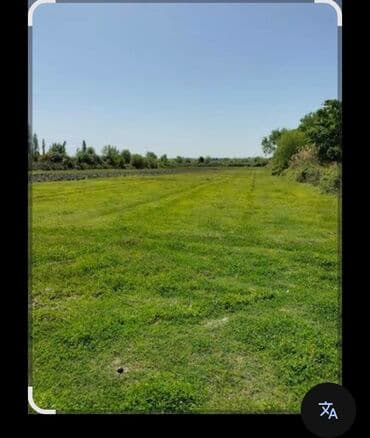 8 sot, Tikinti, Mülkiyyətçi, Kupça (Çıxarış)