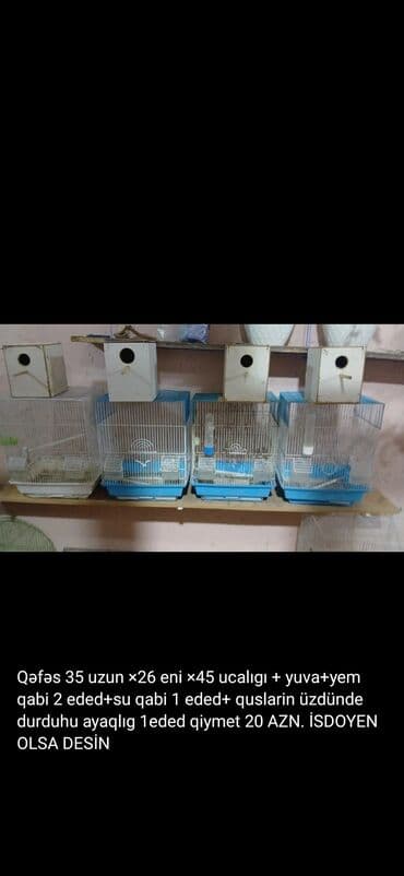 большая клетка для попугая: Quş qəfəsləri və aksesuarları - Dəst 1: Qəfəs + yuva + su qabı + — 3