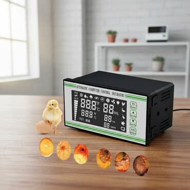 5000 yumurta, Çin, Fabrik istehsalı lalafo.az -da 5000 yumurta, Çin, Fabrik istehsalı