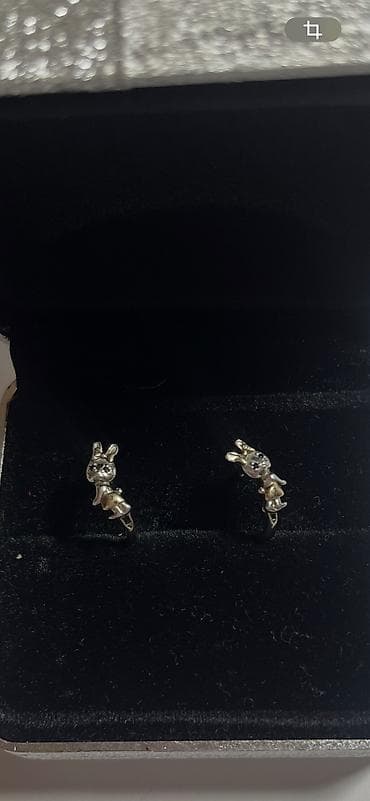 sirqalar: Sırğa, Gümüş, Ünvandan götürmə — 6