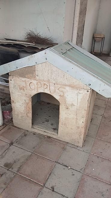 Taxta it evi - Material: kontrplak/taxta gövdə, üstü rütubətə davamlı