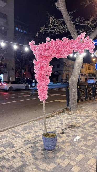 bitki toxumlari: Depodan bir basa satis 70azn baslayan dekarativ suni agaclar topdan — 11