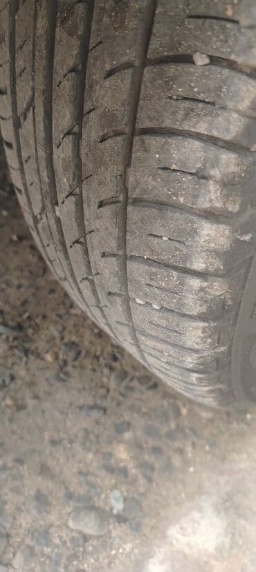 teger: Şin Lassa 195 / 65 / R 15 — 3