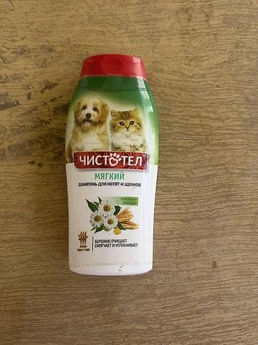 ucuz ev itleri: Koker spaniyel, 2 il, Dişi, Ödənişli çatdırılma — 5