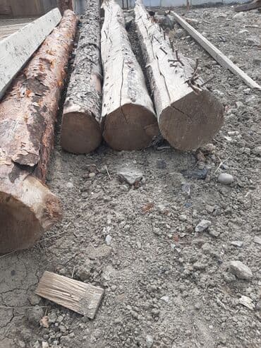Taxta şalban/kötüklər uzunluq 3 metirdən artıqdı diyametri 150 lik