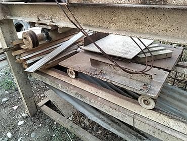 Sovetçə Siam tipli ağ dovşanlar Məhsul təsviri: - Ağ tüklü — 2