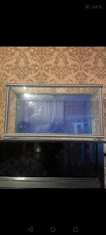 akvarium baki: Dördbucaq akvarium, Boş, 150 l, Ünvandan götürmə, Ödənişli çatdırılma, Rayonlara çatdırılma — 1
