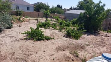 sulutəpə çiçək qəsəbəsi: 12 sot, Tikinti, Maklerlər narahat etməsin, Kupça (Çıxarış) — 4