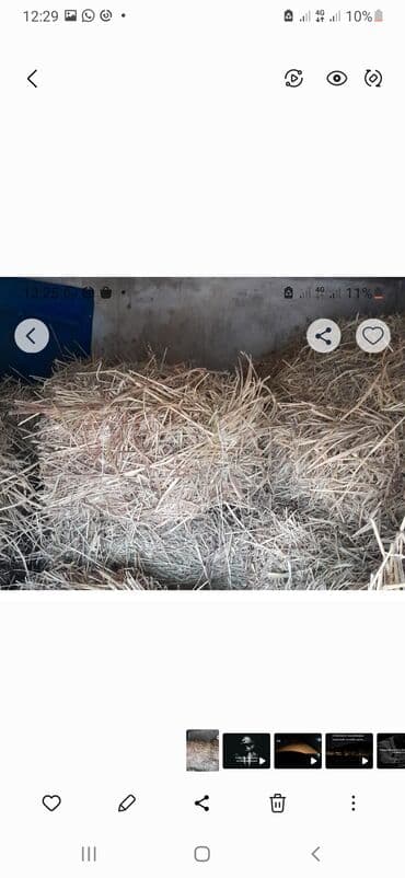 Məhsul: Balya şəklində quru ot (saman) Təsvir: - Heyvandarlıq üçün