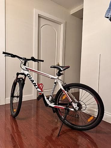 mini velosiped: Giant Rincon dağ velosipedi - Çərçivə: yüngül alyumini (ALUXX) — 3