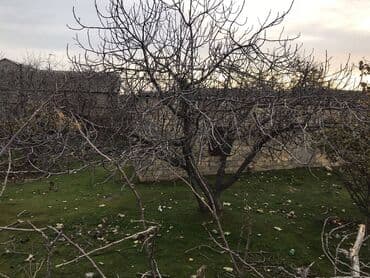 5 sot nece metrdir: 7 sot, Makler, Kupça (Çıxarış) — 1