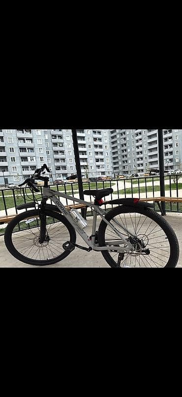 Goose 29
