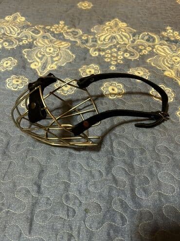 enzo шампунь отзывы: İt aksesuarları dəsti, tek tek qiymetler qeyd edilib endirim yoxdur — 6